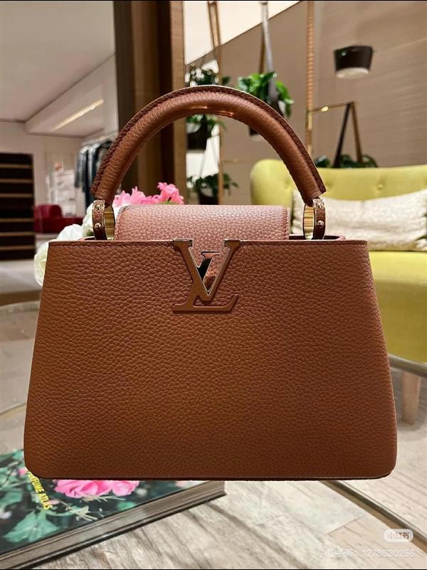 2026120185558652 250